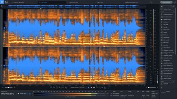 Recording in the RX 9 Audio Editor