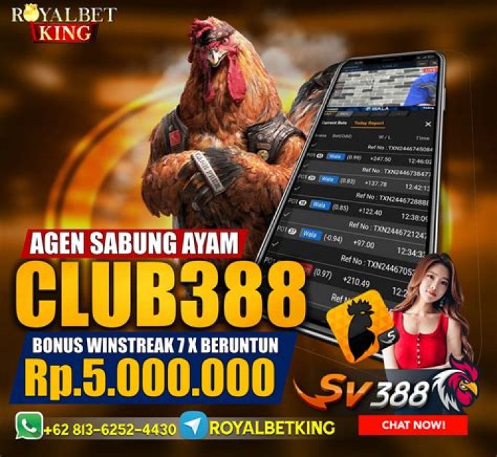 Strategi Meningkatkan Kekuatan Pukulan Sabung Ayam Online Sv388 Dan Rahasia Pukulan Cepat Yang Mematikan