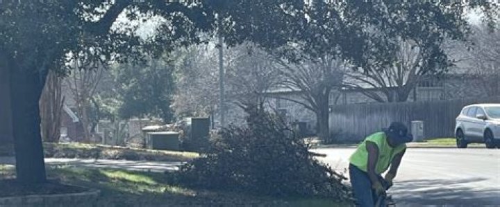 Tree Removal in Georgetown TX