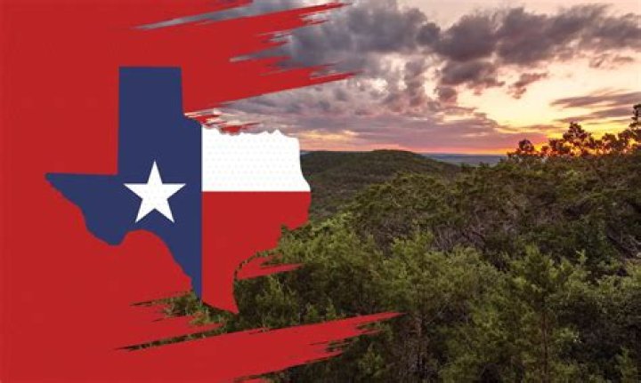 Web Design In New Braunfels From Texas Web Design